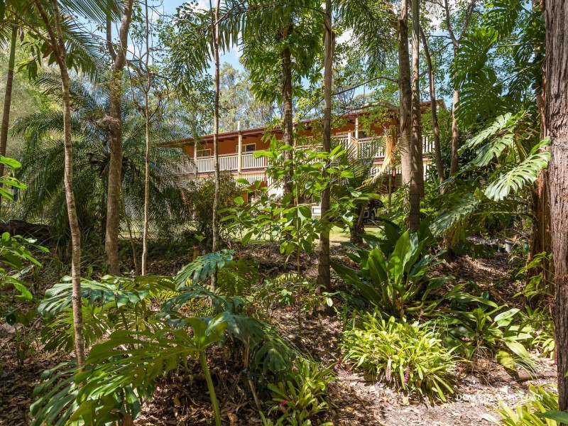 237 Forest, Lake Macdonald QLD 4563