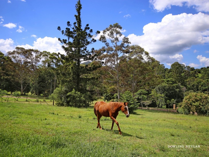 192 Nandroya, Eumundi QLD 4562