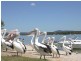 177 Shorehaven Drive, Noosa Waters QLD 4566