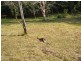 11 Redwood Road, Doonan QLD 4562
