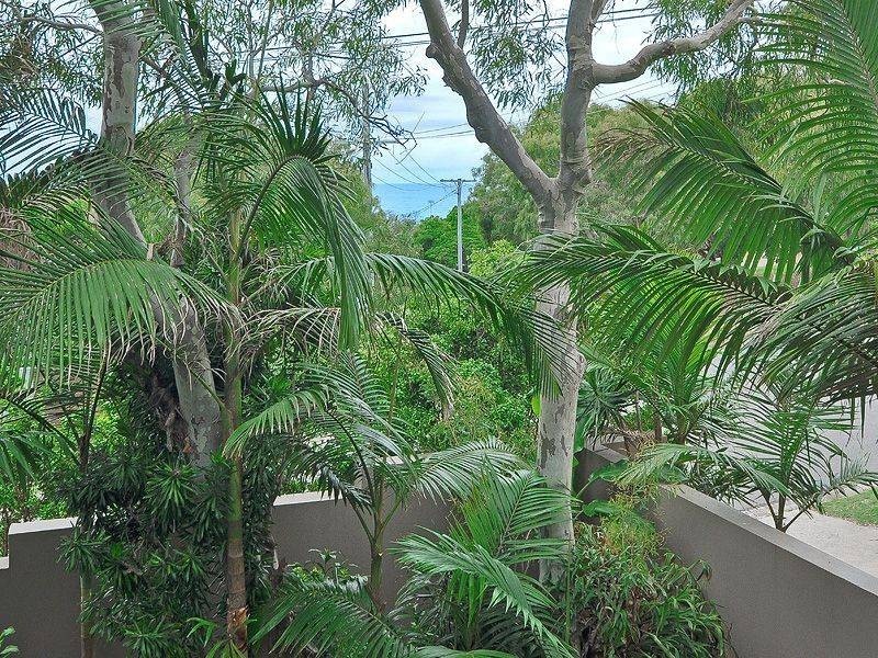 31 Lorilet Street, Peregian Beach QLD 4573