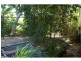 15 Safari Street, Noosa Heads QLD 4567