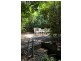15 Safari Street, Noosa Heads QLD 4567