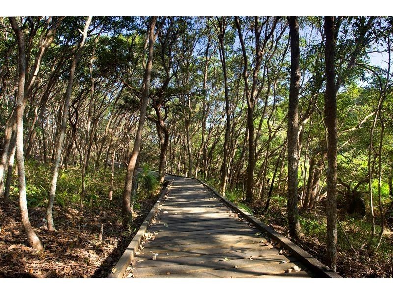 17 Whale Drive, Sunshine Beach QLD 4567