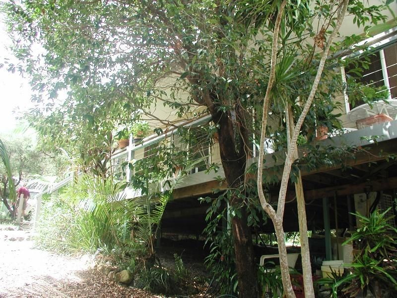 6 Shamrock Court, Sunrise Beach QLD 4567