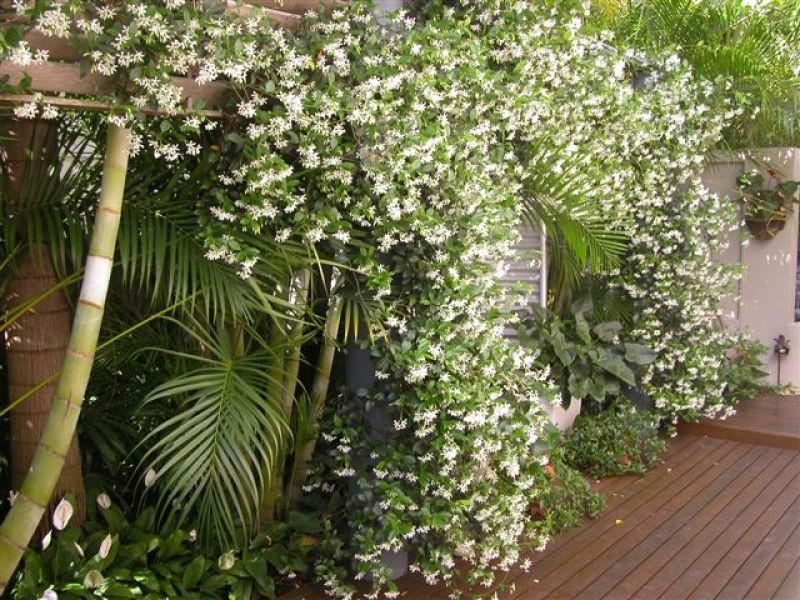 68 Wollomia Way, Sunrise Beach QLD 4567