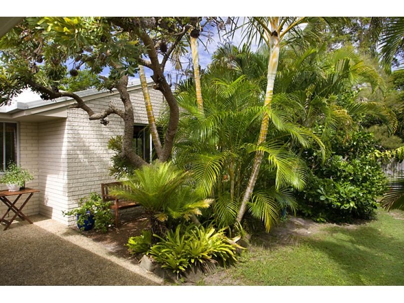 31 Tarina Street, Noosa Heads QLD 4567