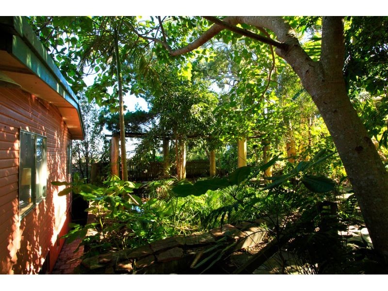 41 Nairana Rest, Noosa Heads QLD 4567