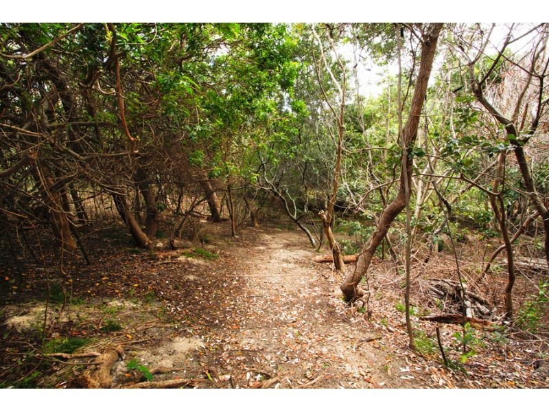 2 & 3, 388 David Low Way, Peregian Beach QLD 4573