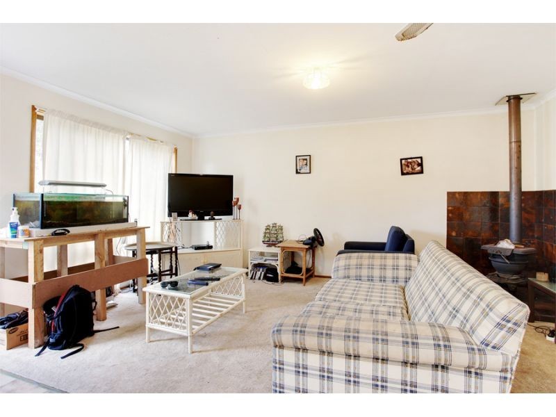 11 Pine Avenue, Tewantin QLD 4565