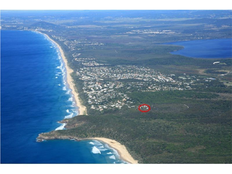 31 Whale Drive, Sunshine Beach QLD 4567