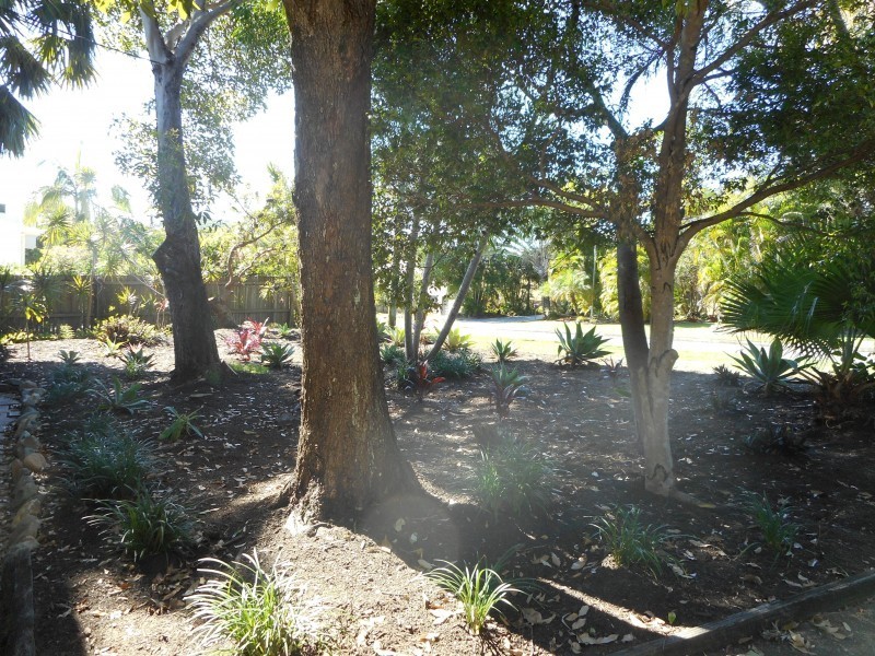 33 Wyona Drive, Noosa Heads QLD 4567