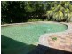 Noosa Heads QLD 4567