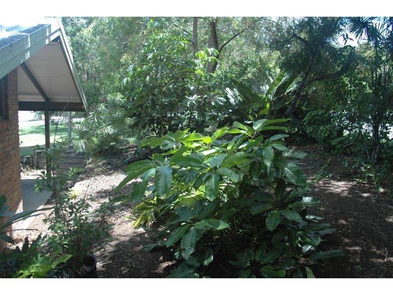 6 Currawong Street, Noosa Heads QLD 4567