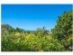 5 Weatherley Court, Sunshine Beach QLD 4567