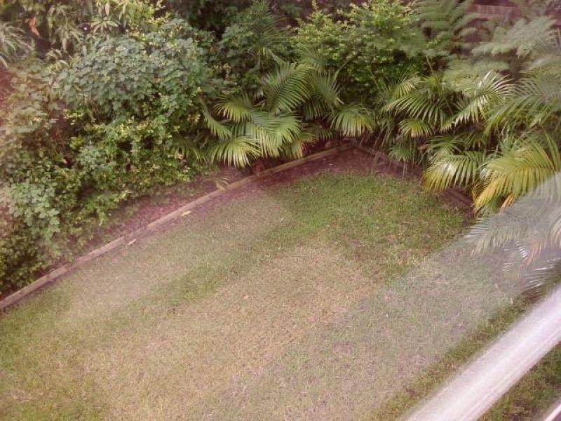 8 Ward Street, Tewantin QLD 4565