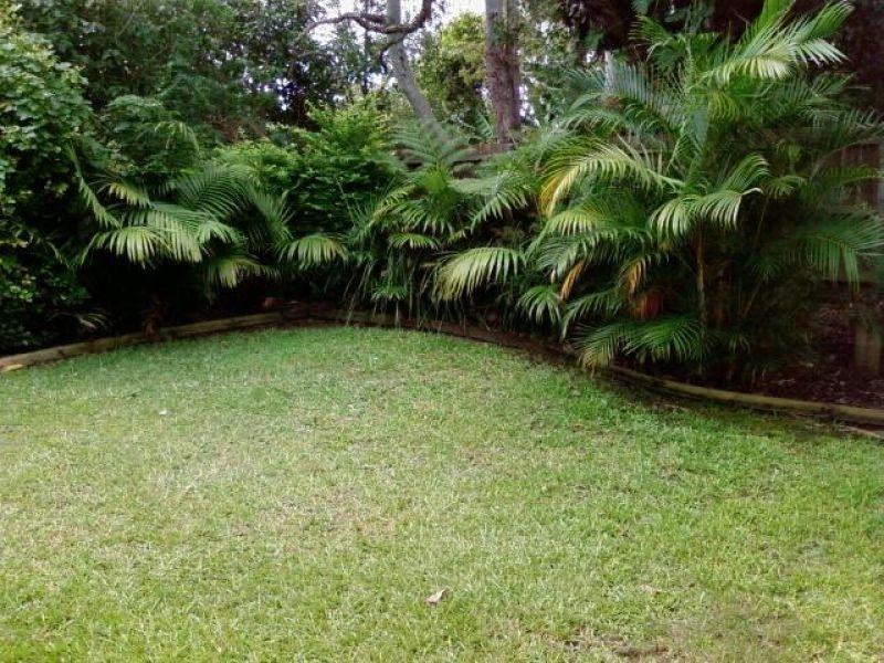 8 Ward Street, Tewantin QLD 4565