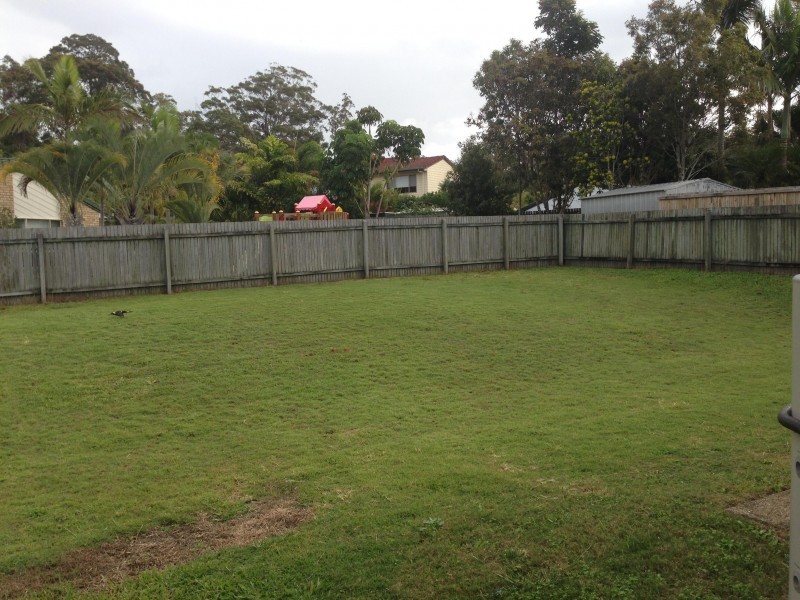 5 Satinash Court, Noosaville QLD 4566