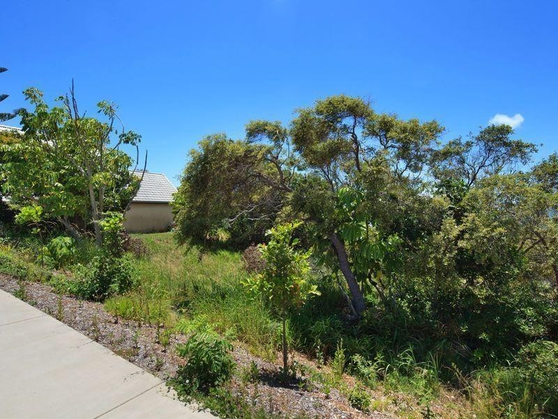 316 David Low Way, Peregian Beach QLD 4573