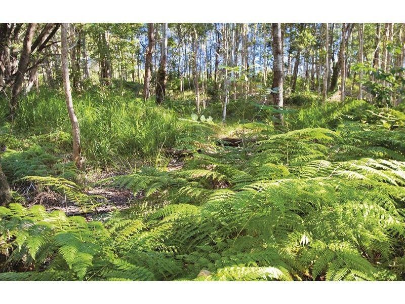 Noosa Northrise, Noosa Heads QLD 4567