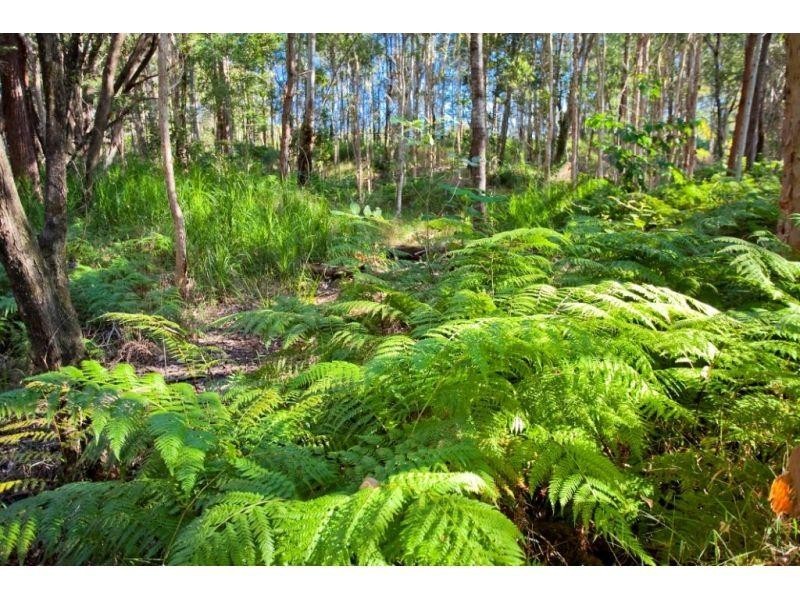 38 Limosa Circuit, Noosaville QLD 4566