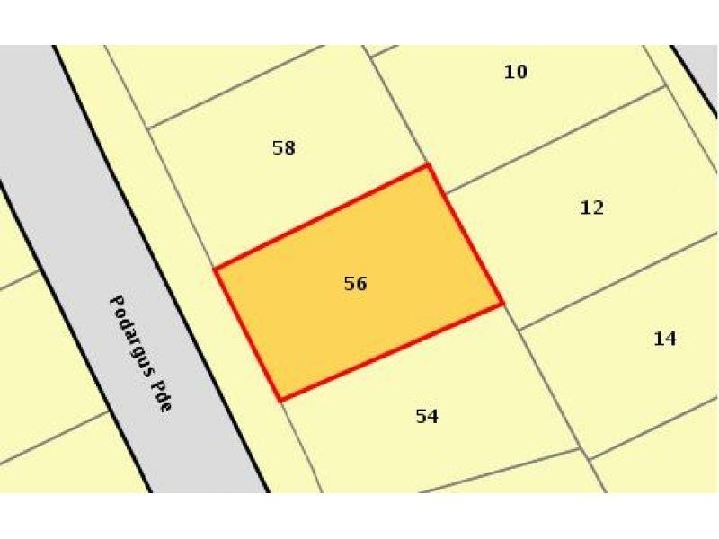 56 Podargus Parade, Peregian Beach QLD 4573