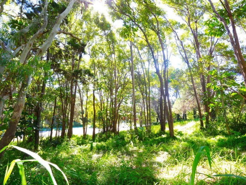 3 Mahogany Drive, Marcus Beach QLD 4573