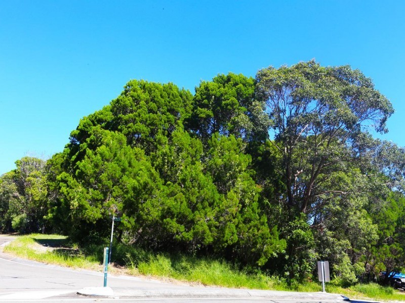 3 Mahogany Drive, Marcus Beach QLD 4573