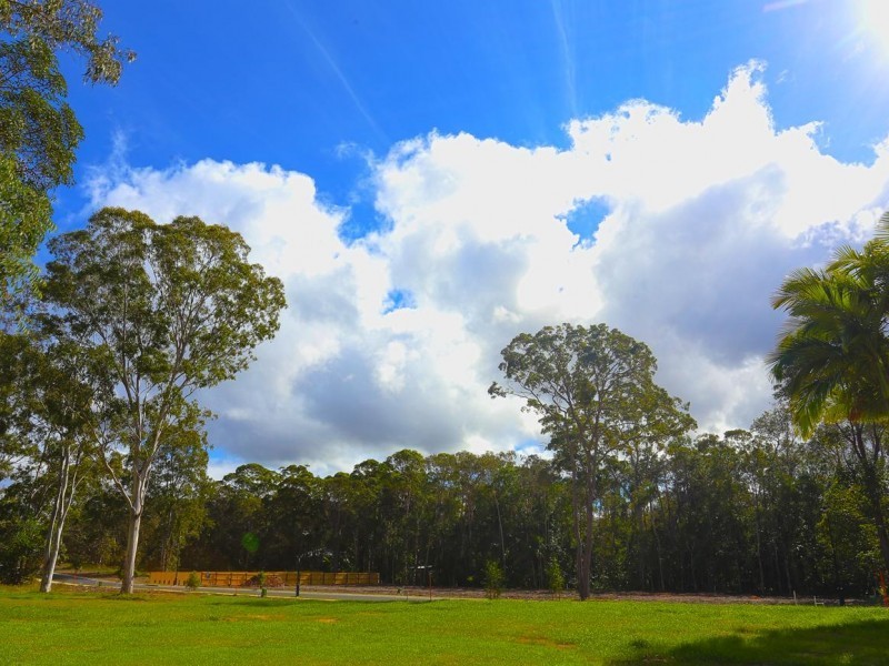 114 Goodwin Street, Tewantin QLD 4565