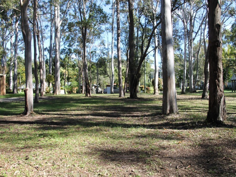 29 Morning Glory Drive, Cooroibah QLD 4565