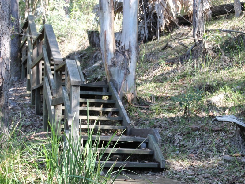 29 Morning Glory Drive, Cooroibah QLD 4565