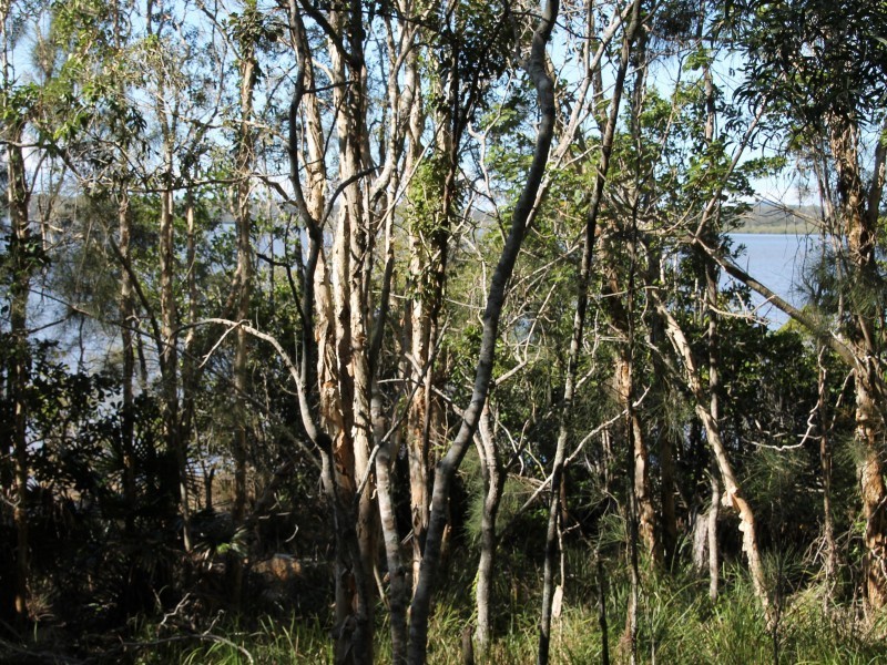 29 Morning Glory Drive, Cooroibah QLD 4565