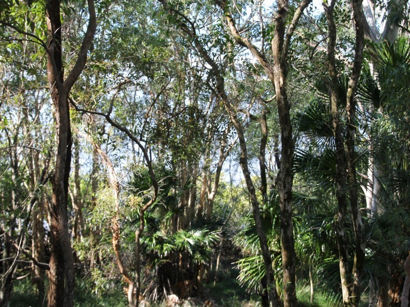 29 Morning Glory Drive, Cooroibah QLD 4565