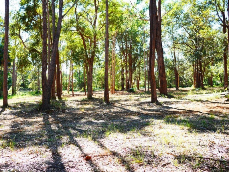 13 Beckmans Road, Tewantin QLD 4565