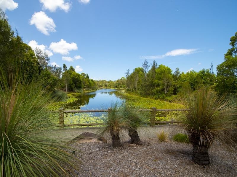 25 Attenuatta Place, Noosaville QLD 4566
