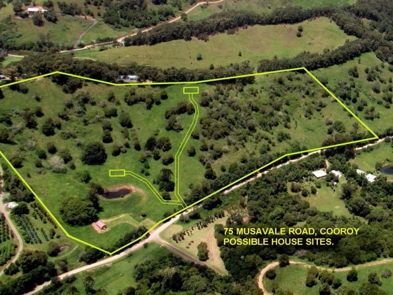 75 Musa Vale, Cooroy QLD 4563