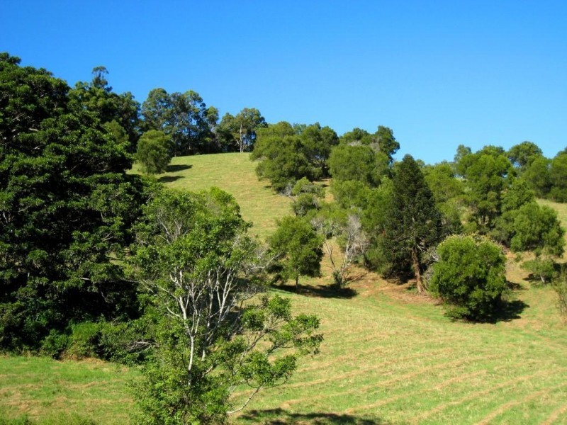 75 Musa Vale, Cooroy QLD 4563