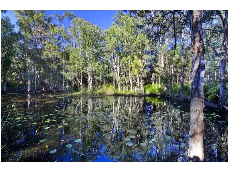 7 Granite Court, Noosaville QLD 4566