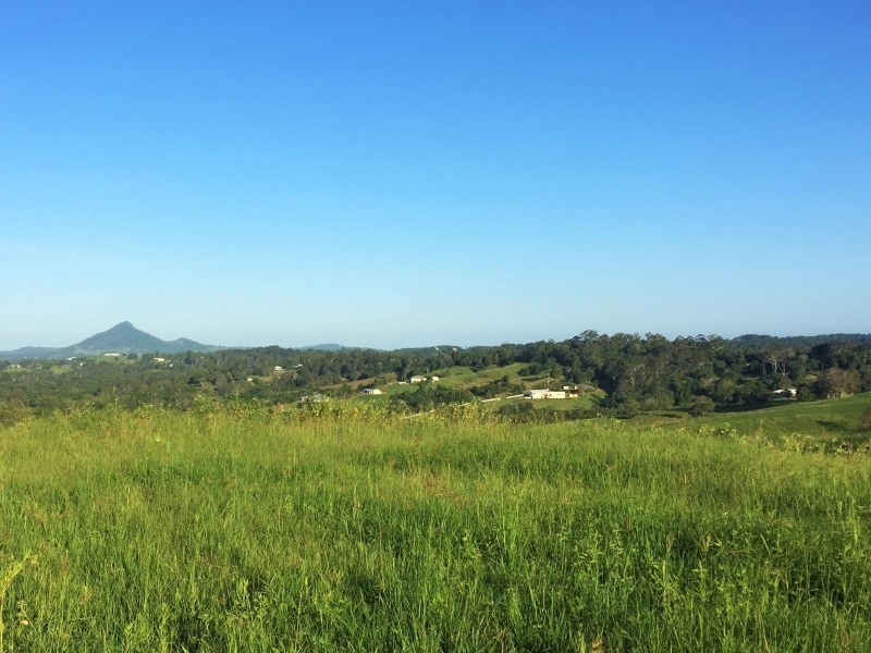Lot 3 Booyong Drive, Black Mountain QLD 4563
