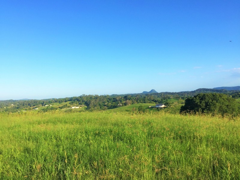 Lot 3 Booyong Drive, Black Mountain QLD 4563