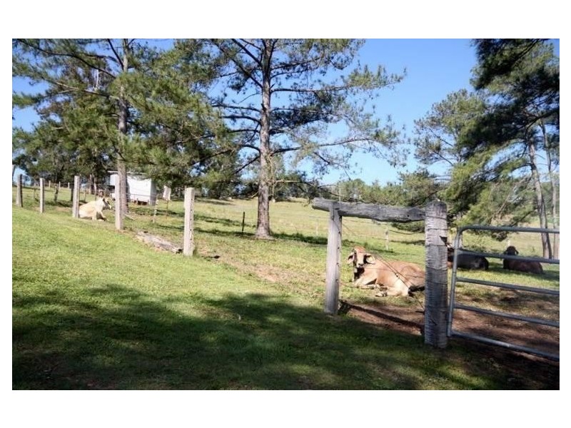 45 Happy Jack Creek Road, Ridgewood QLD 4563