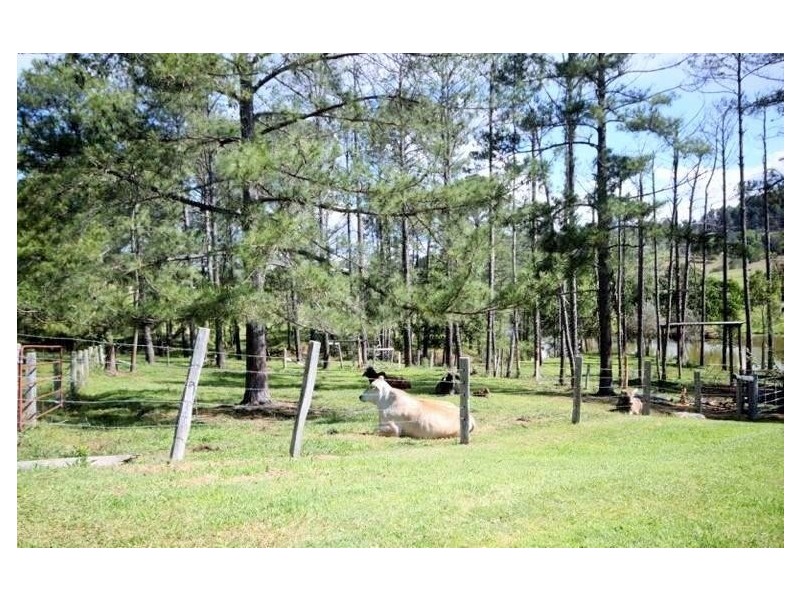 45 Happy Jack Creek Road, Ridgewood QLD 4563