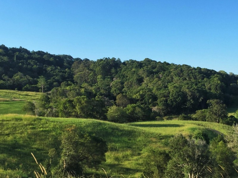 Lot 4  Booyong Drive, Black Mountain QLD 4563