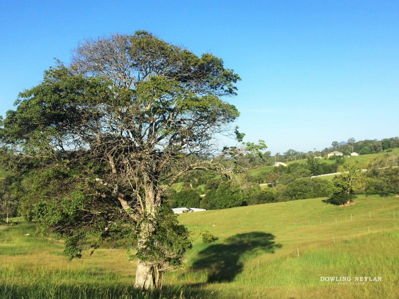 7 Booyong Drive, Black Mountain QLD 4563