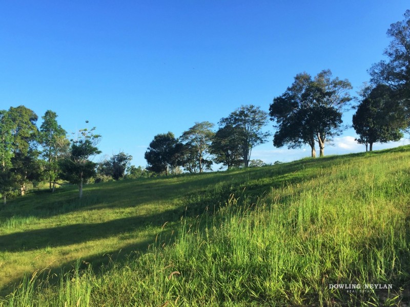 7 Booyong Drive, Black Mountain QLD 4563