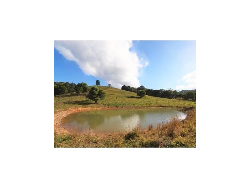 17  Coachwood Terrace, Black Mountain QLD 4563