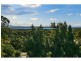 3 Bursaria Street, Peregian Beach QLD 4573
