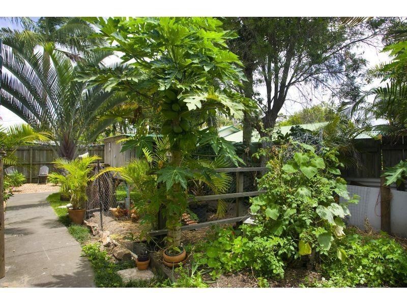 4 Pipi Crescent, Noosaville QLD 4566