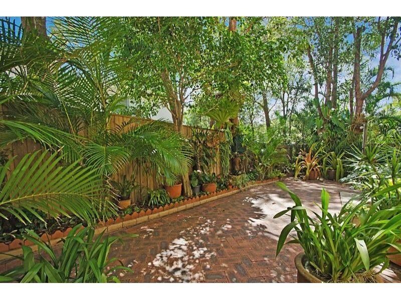 1/4 Ray Street, Sunshine Beach QLD 4567