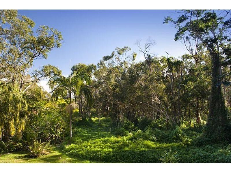 19 Wagtail Drive, Peregian Beach QLD 4573